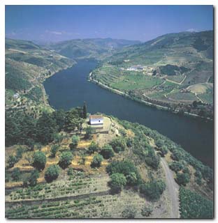 Douro Valley